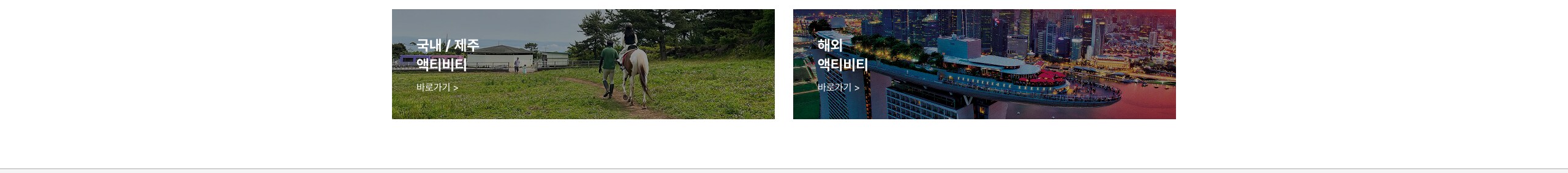 제주 해외입장권