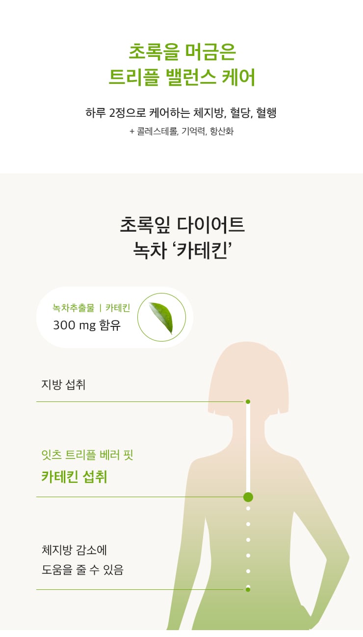 잇츠트리플베러핏2