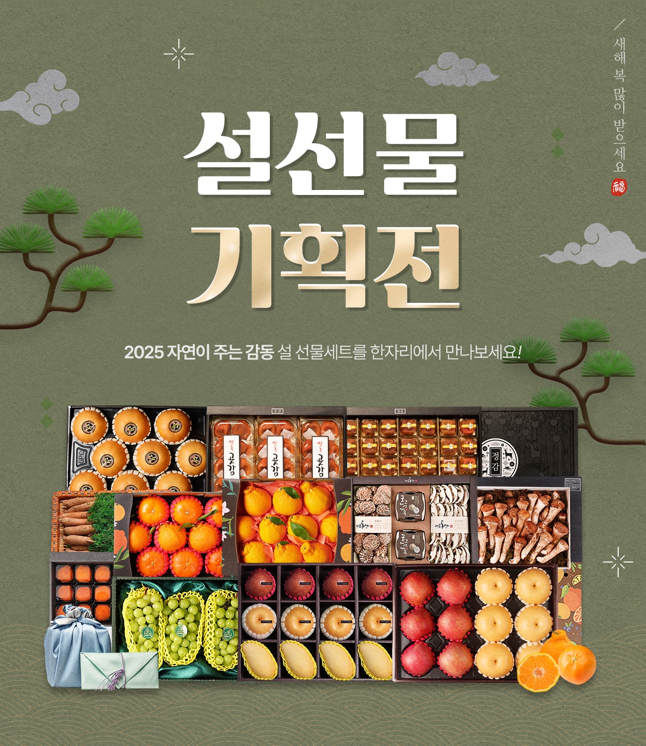 [2025 설 ] 감동 과일 선물세트 특별전