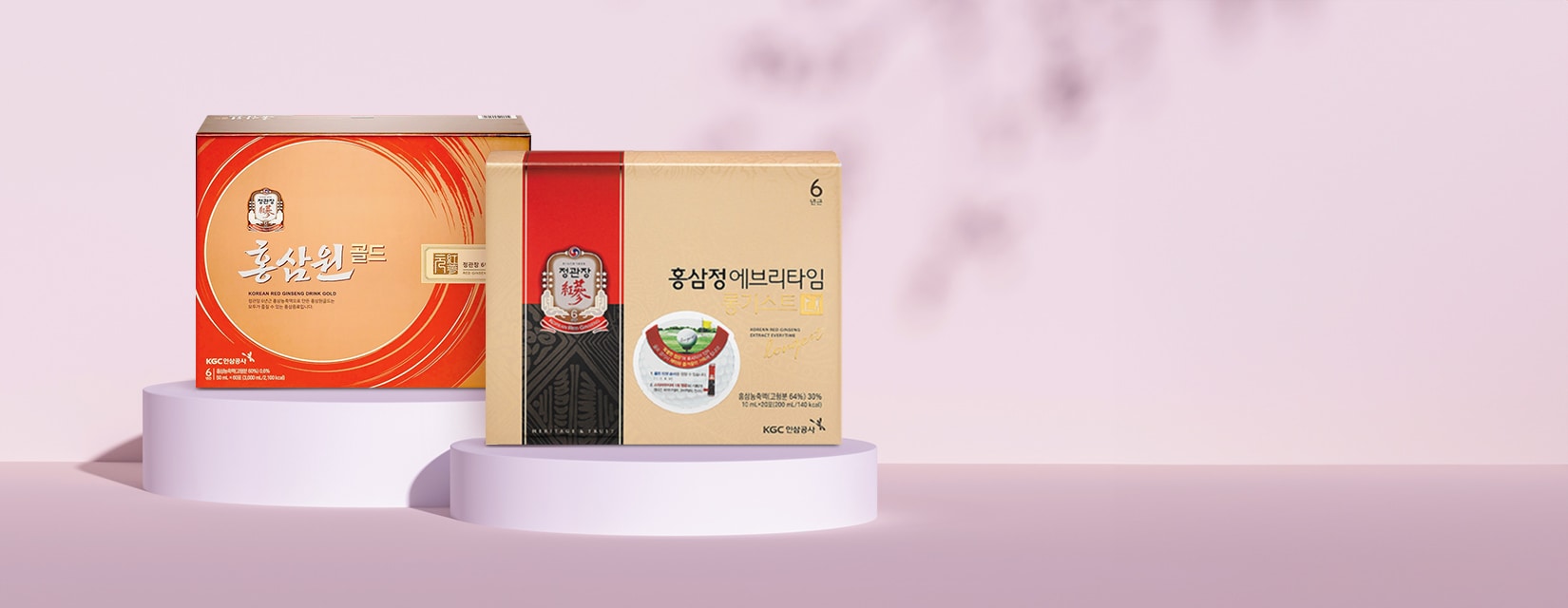 정관장 가정의달 선물하기