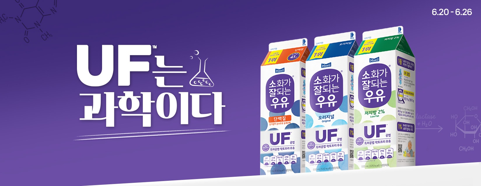 네오_블라썸위크