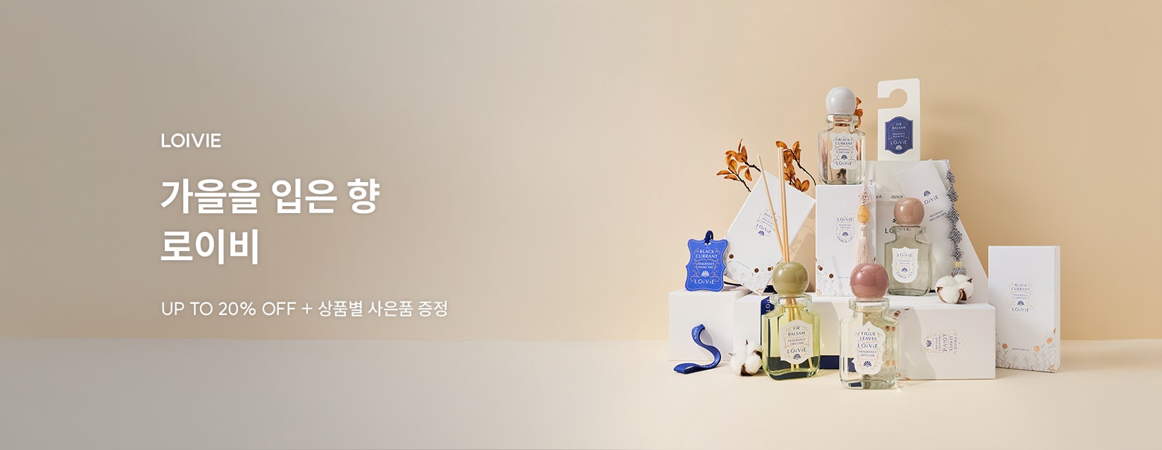 9/1 로이비
