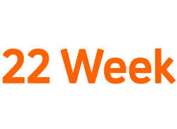 22Week