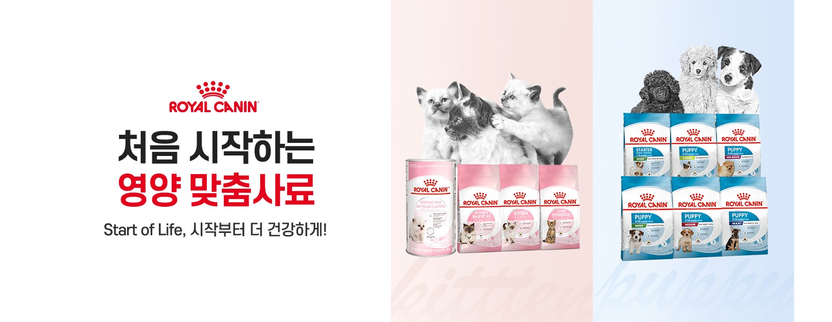 영양사료