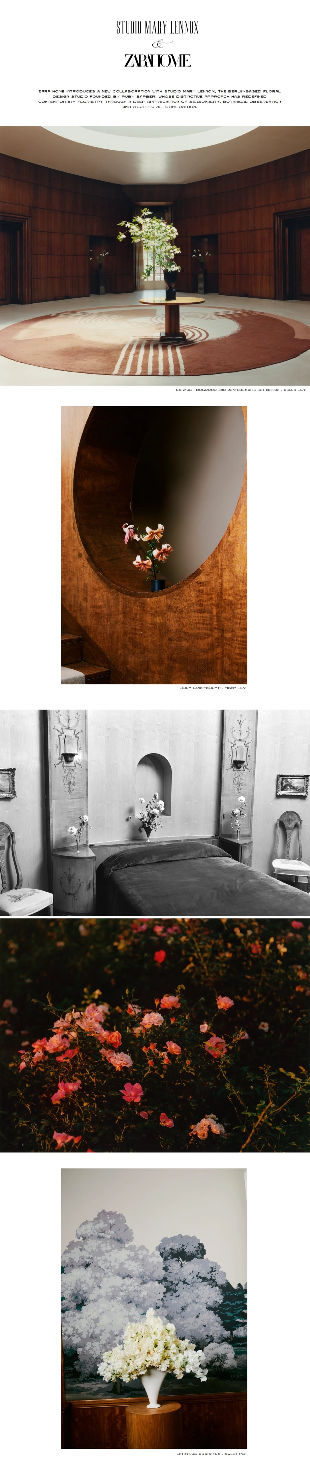ZARA HOME