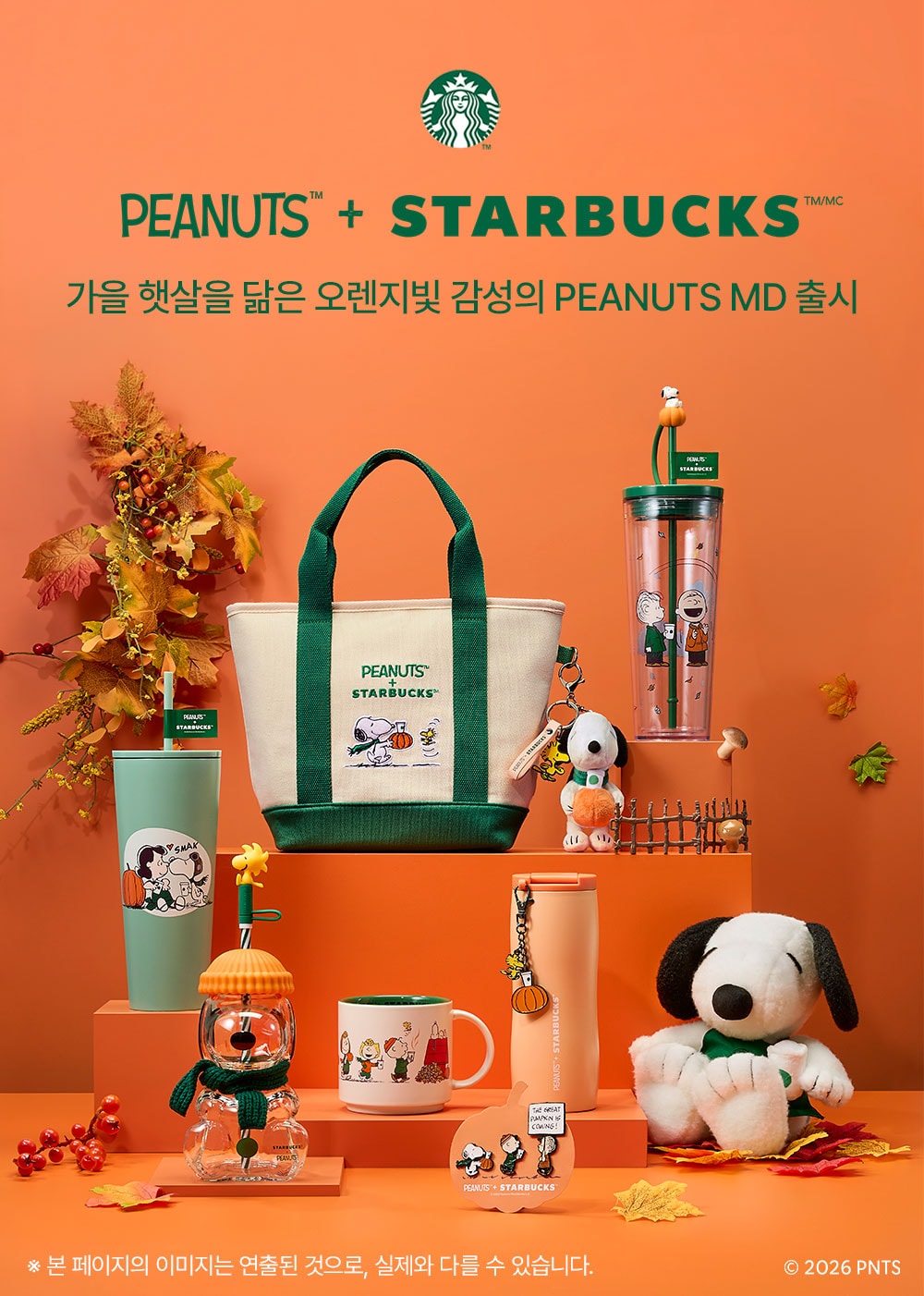 PEANUTS + STARBUCKS가을 햇살을 담은 오렌지빛 감성의 PEANUTS MD 출시