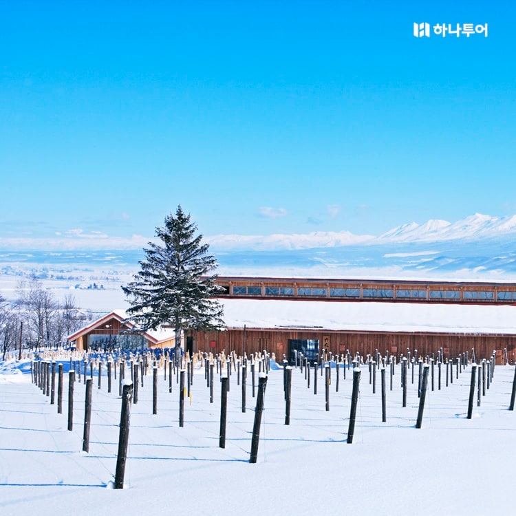 [기대평이벤트]❄️첫눈의 설레임🎄낭만의 도시 북해도 팁포함✨패키지 vs 에어텔 핫딜 커밍