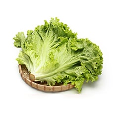 상추/깻잎/쌈채소