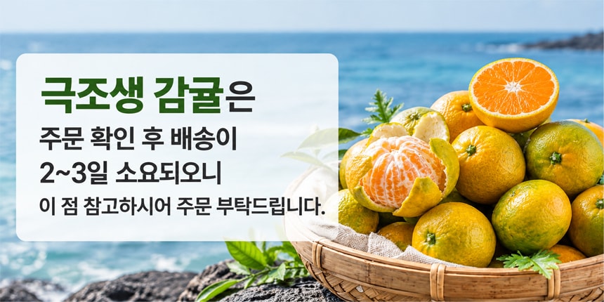 극조생감귤 배송안내