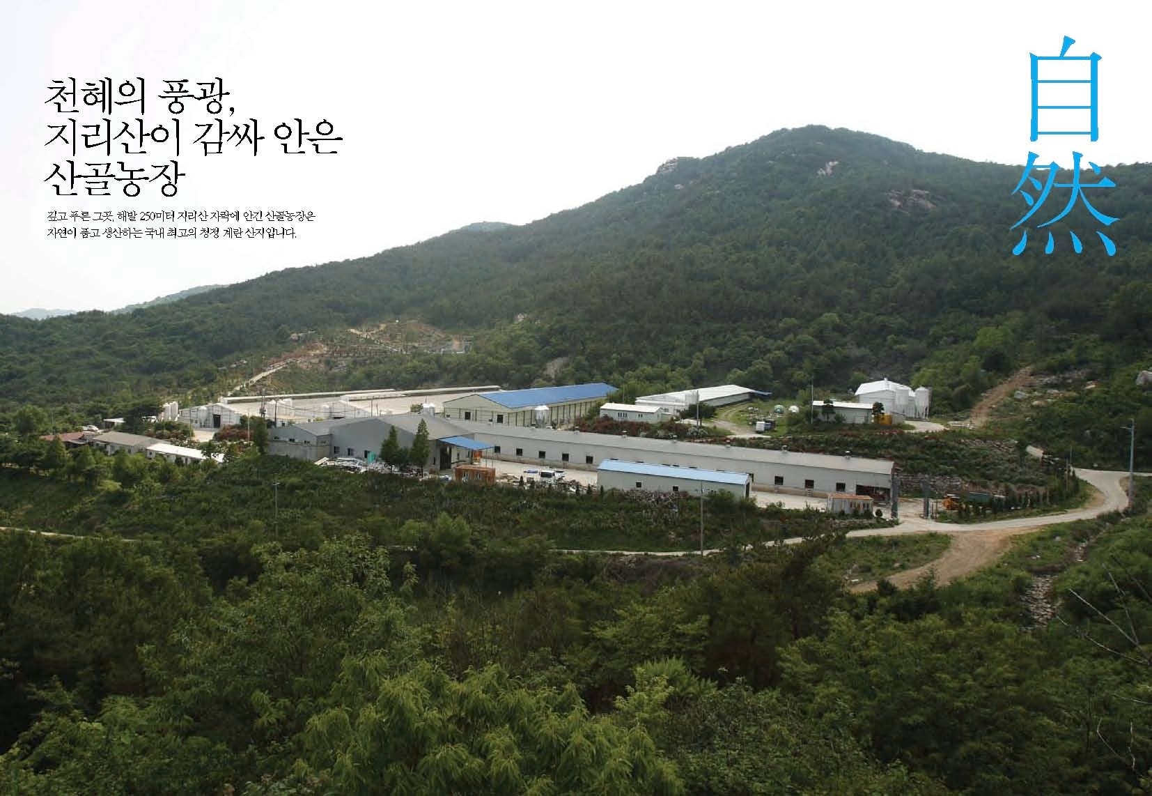 지리산 산골 계란