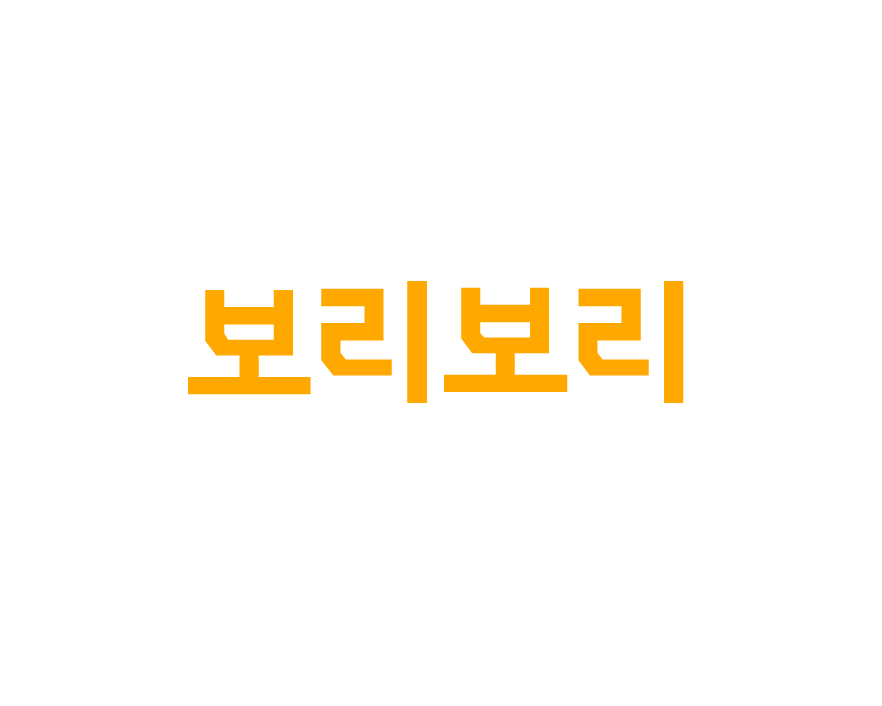 보리보리