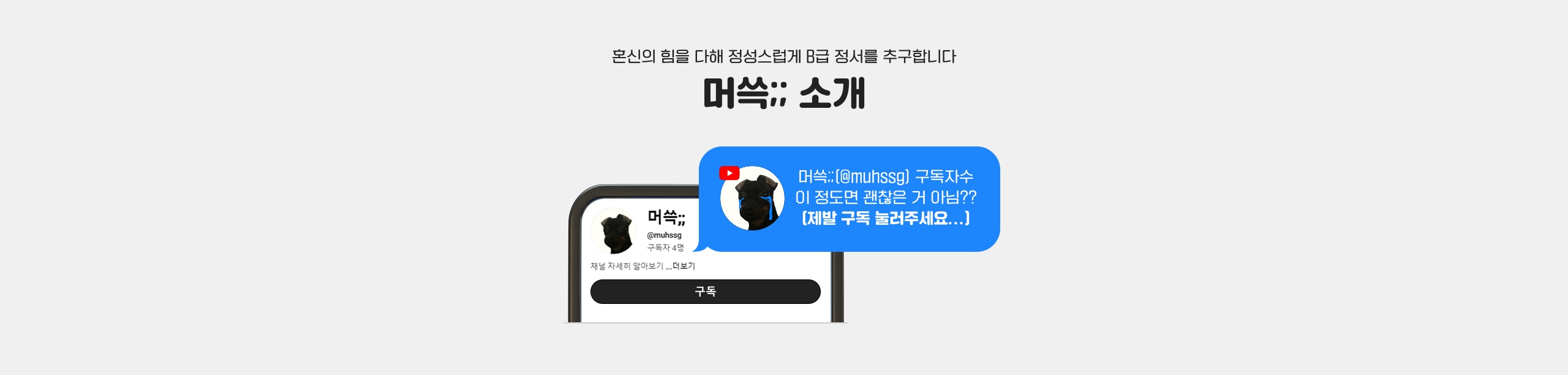 머쓱 소개