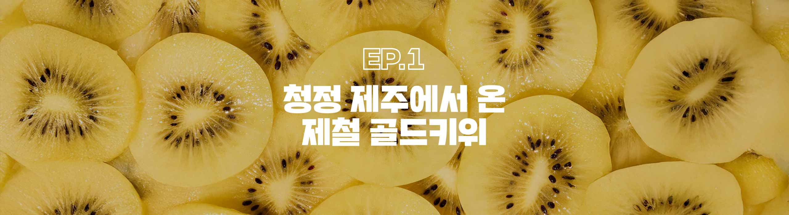 청정 제주에서 온 제철 골드키위