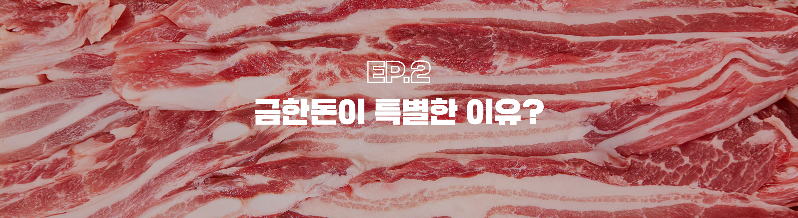 금한돈이 특별한 이유