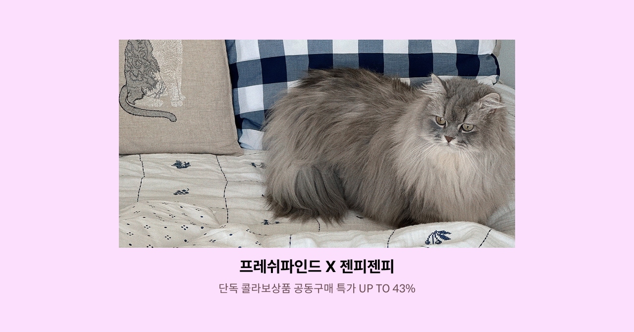 프레쉬파인드 X 젠피젠피