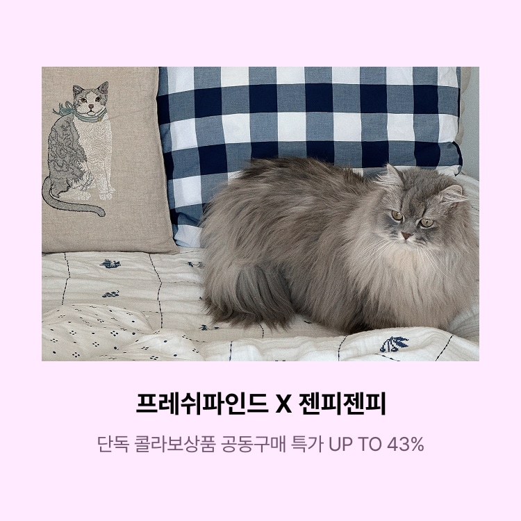 프레쉬파인드 X 젠피젠피