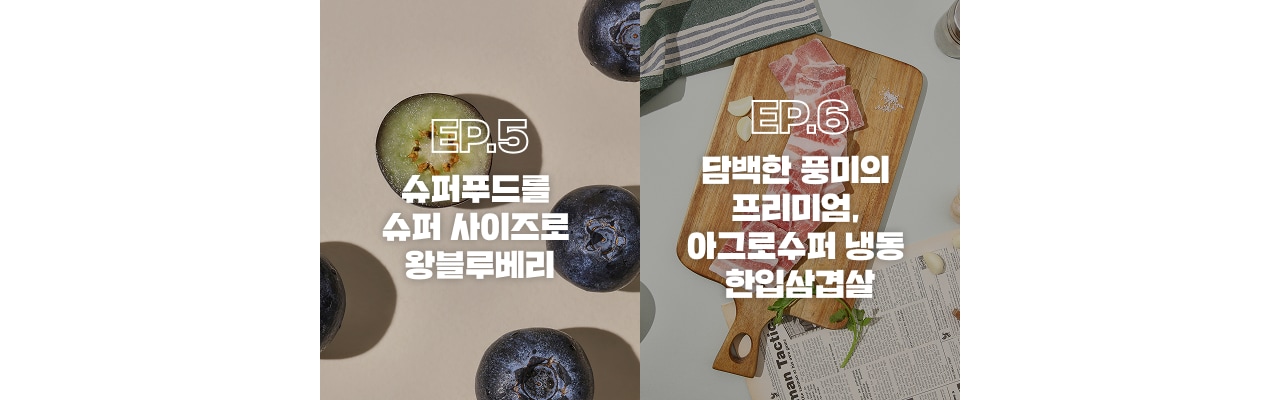 다른 초신선 보기