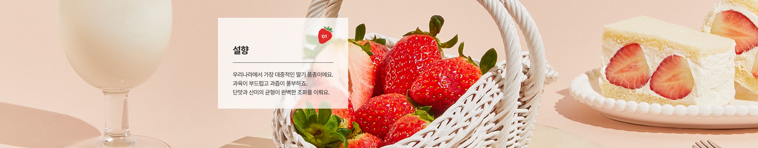 설향