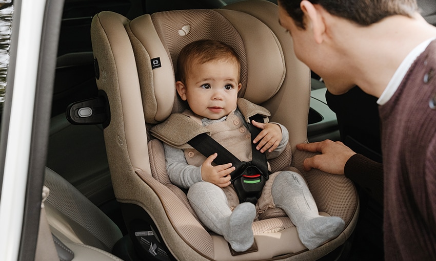 리안/조이/뉴나