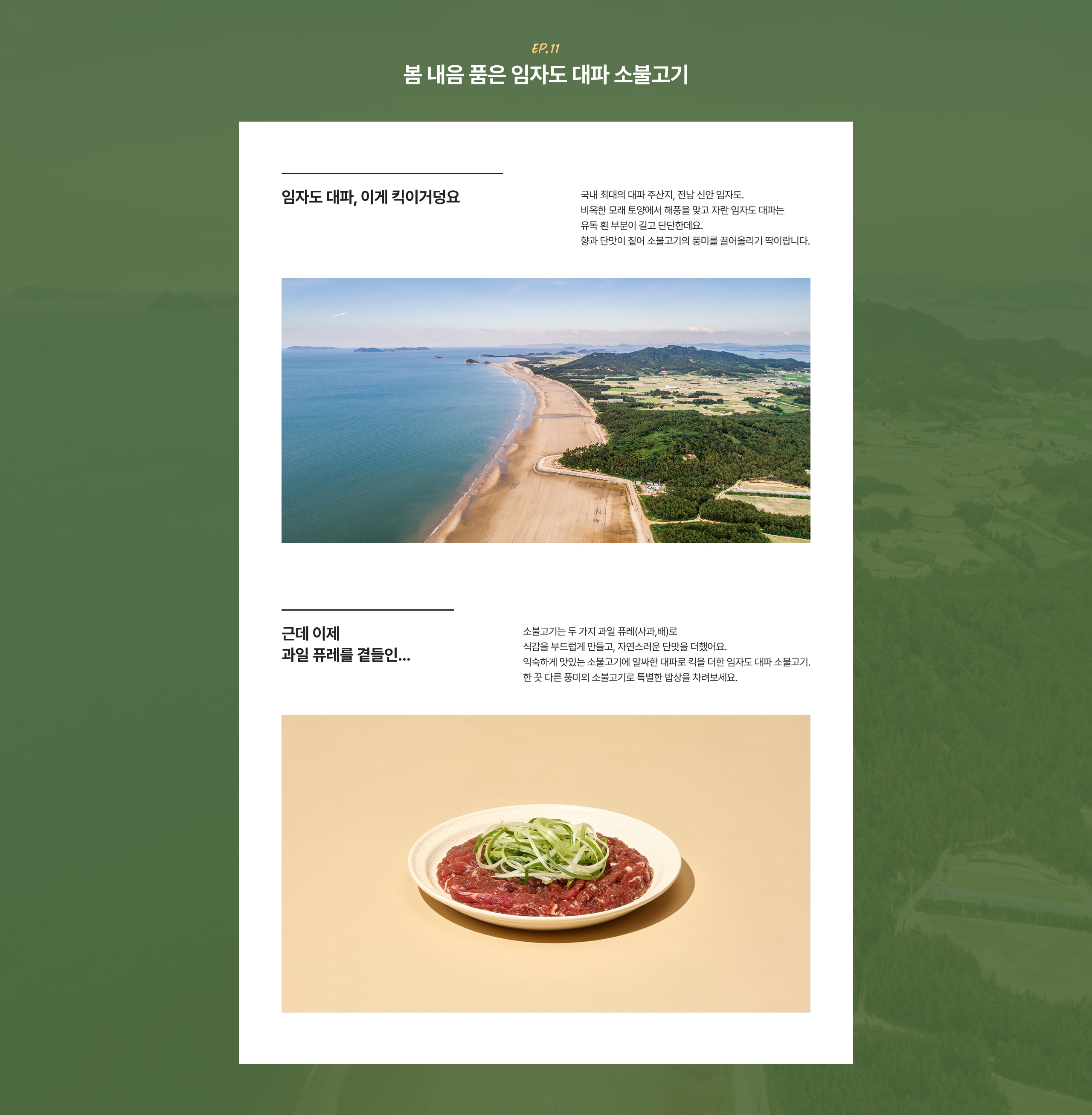임자도 대파 소개