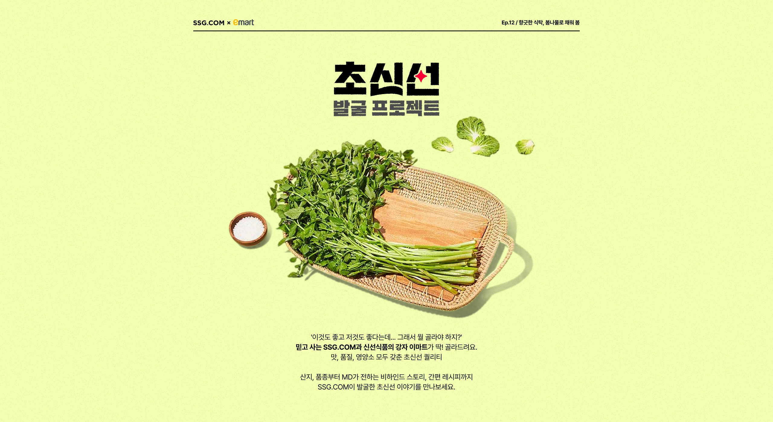 초신선 첫 화면