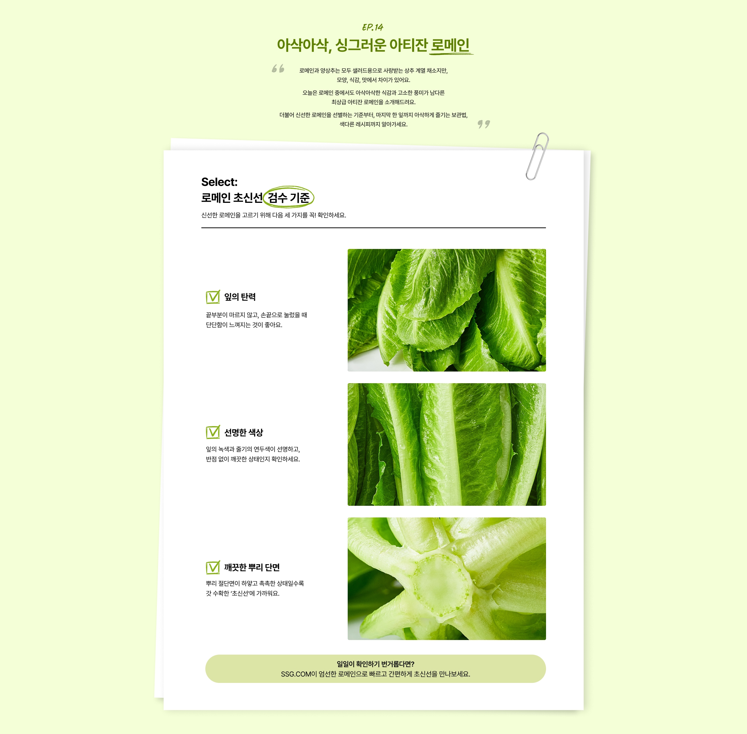 로메인 신선 검수