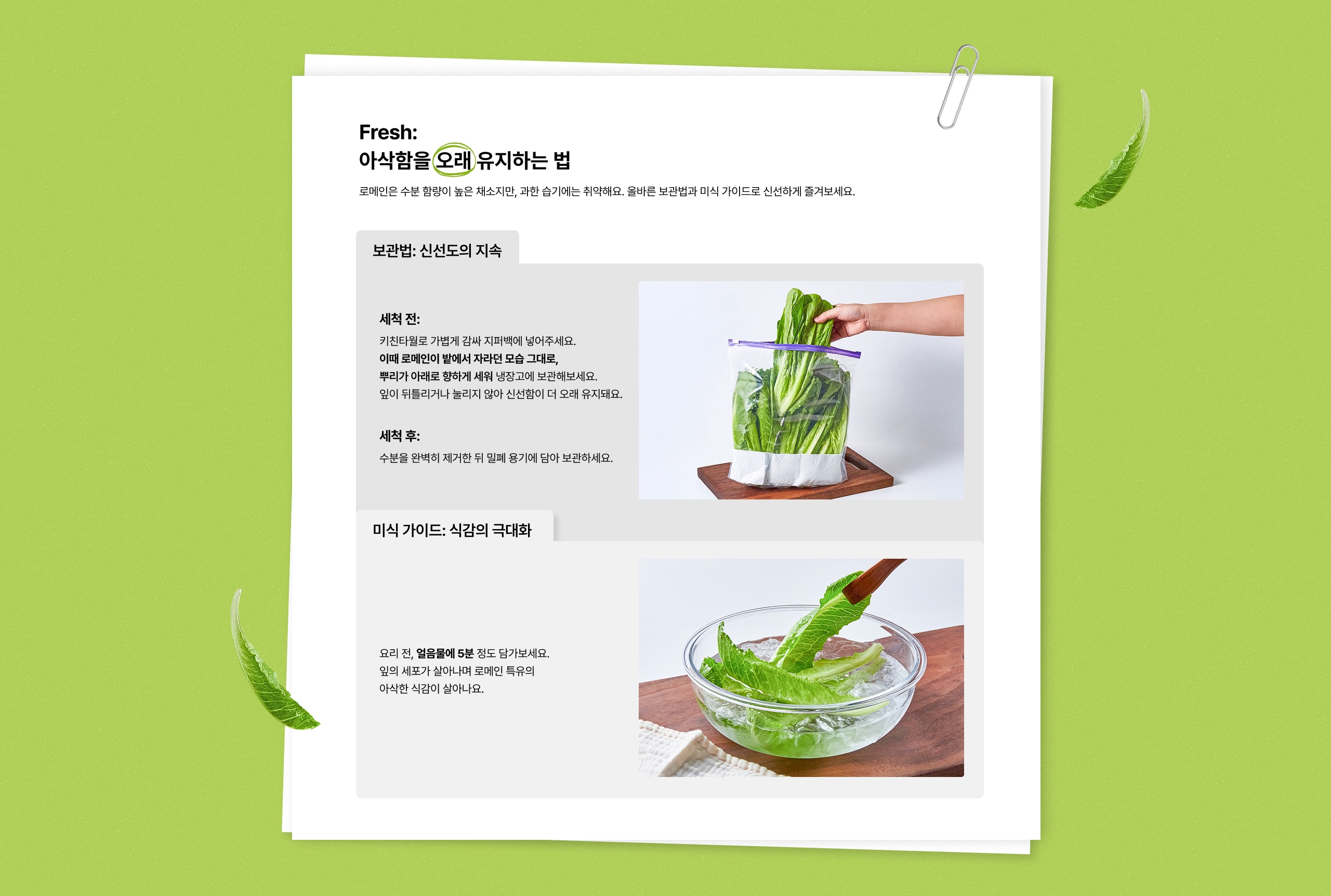 로메인 보관법