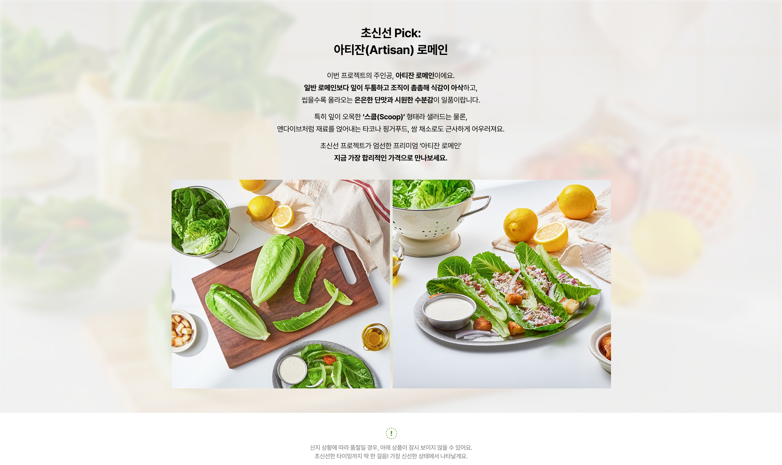 초신선 Pick 소개