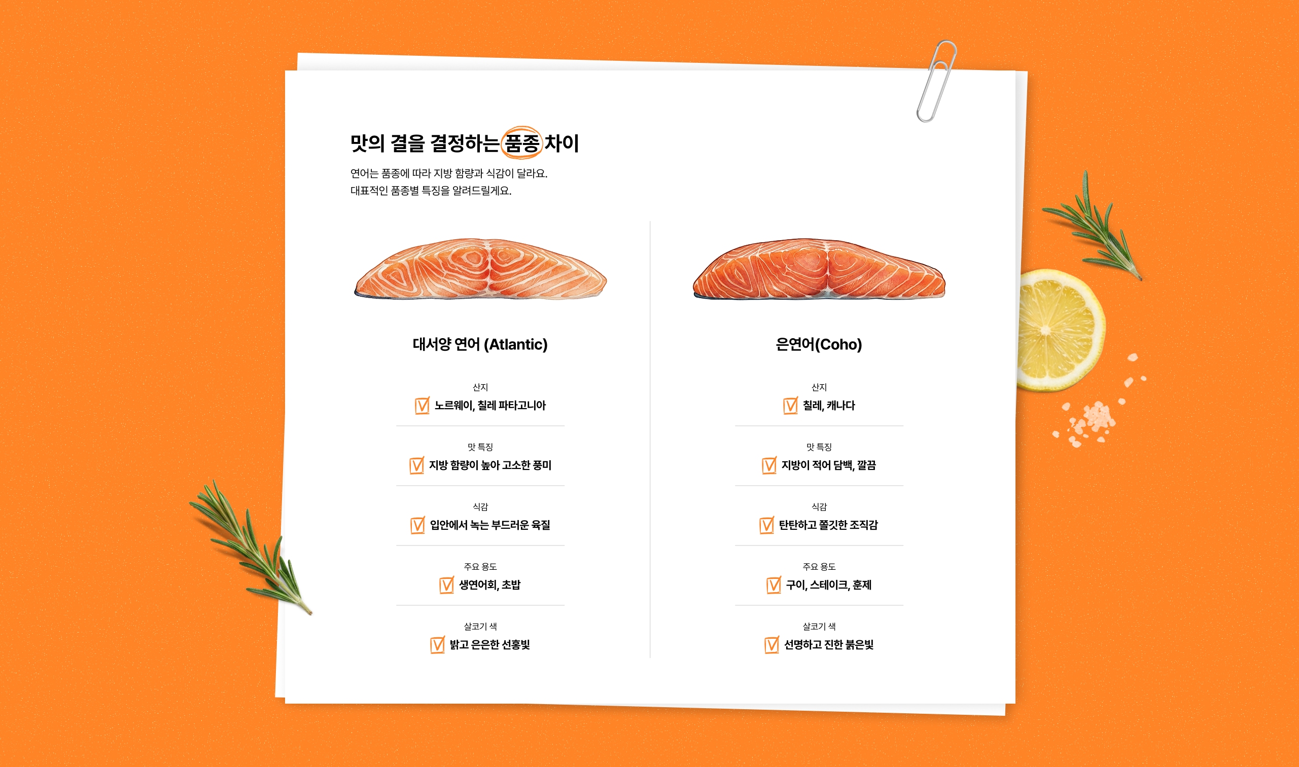 품종 설명