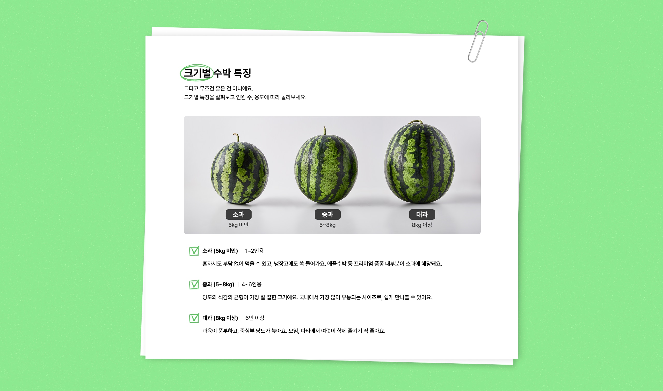 크기별 설명