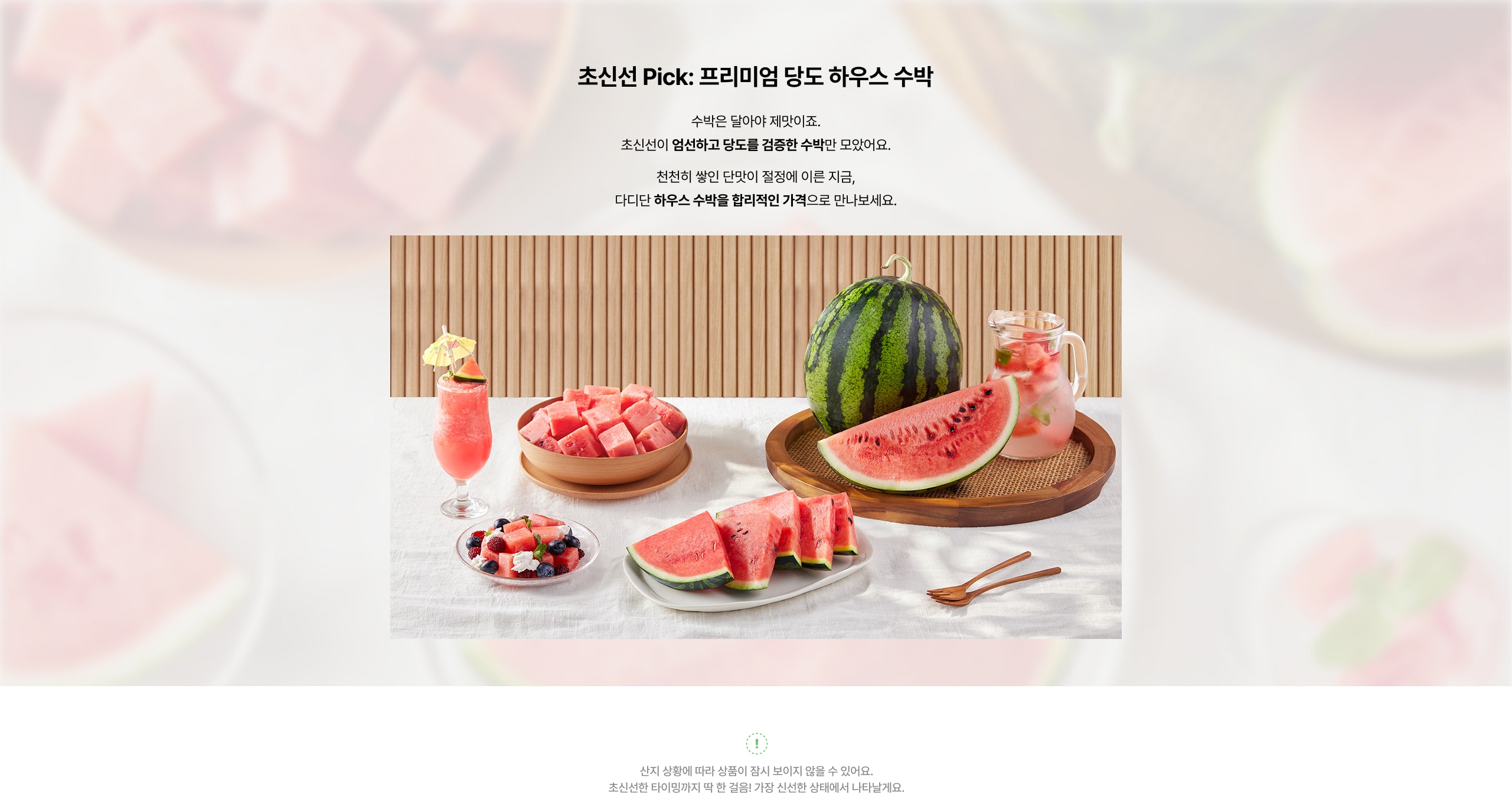 초신선 Pick 소개