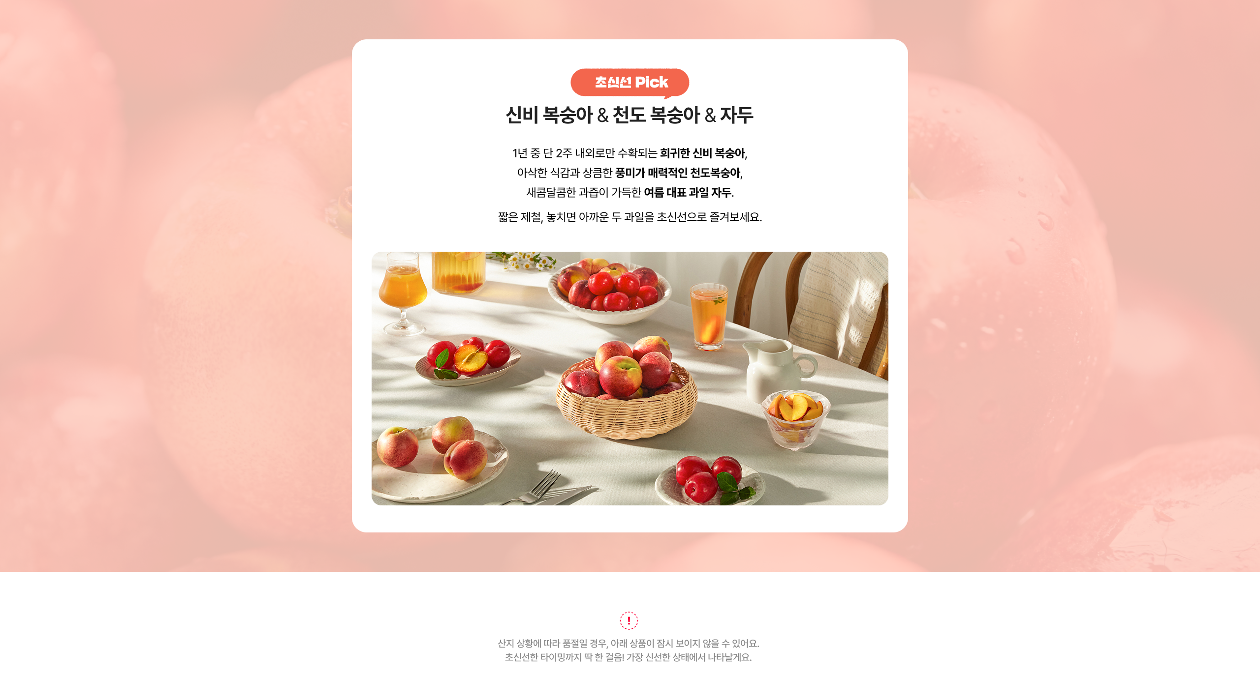 신비 복숭아 & 천도 복숭아 & 자두 1년 중 단 2주 내외로만 수확되는 귀한 신비 복숭아, 아삭한 식감과 상큼한 풍미가 매력적인 천도 복숭아, 새콤달콤한 과즙이 가득한 여름 대표 과일 자두. 맑은 계절, 놓치면 아쉬운 두 과일을 초신선으로 즐겨보세요.