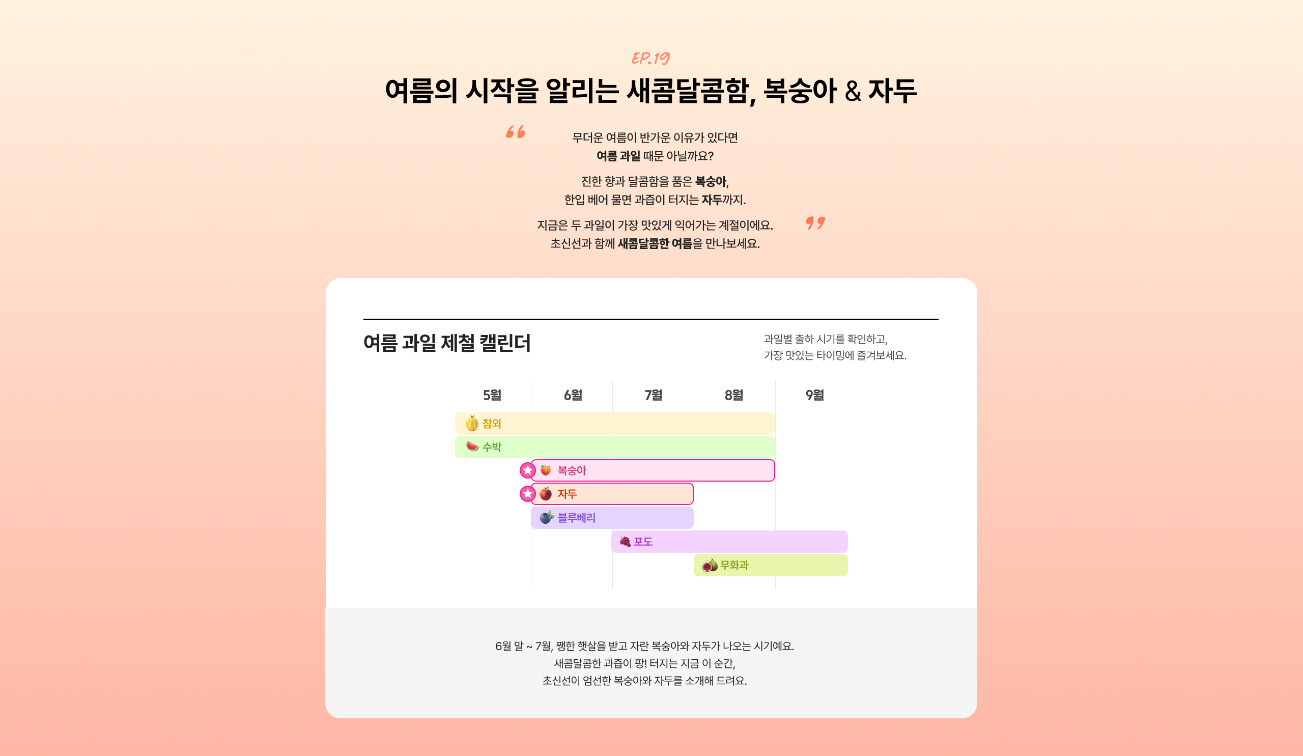 여름의 시작을 알리는 새콤달콤함, 복숭아 & 자두  무더운 여름이 반가운 이유가 있다면 여름 과일 때문 아닐까요?  진한 향과 달콤함을 품은 복숭아, 한입 베어 물면 과즙이 터지는 자두까지.  지금은 두 과일이 가장 맛있게 익어가는 계절이에요. 초신선과 향에 새콤달콤한 여름을 만나보세요.  여름 과일 제철 캘린더  장미 수박 복숭아 자두 블루베리 포도 무화과