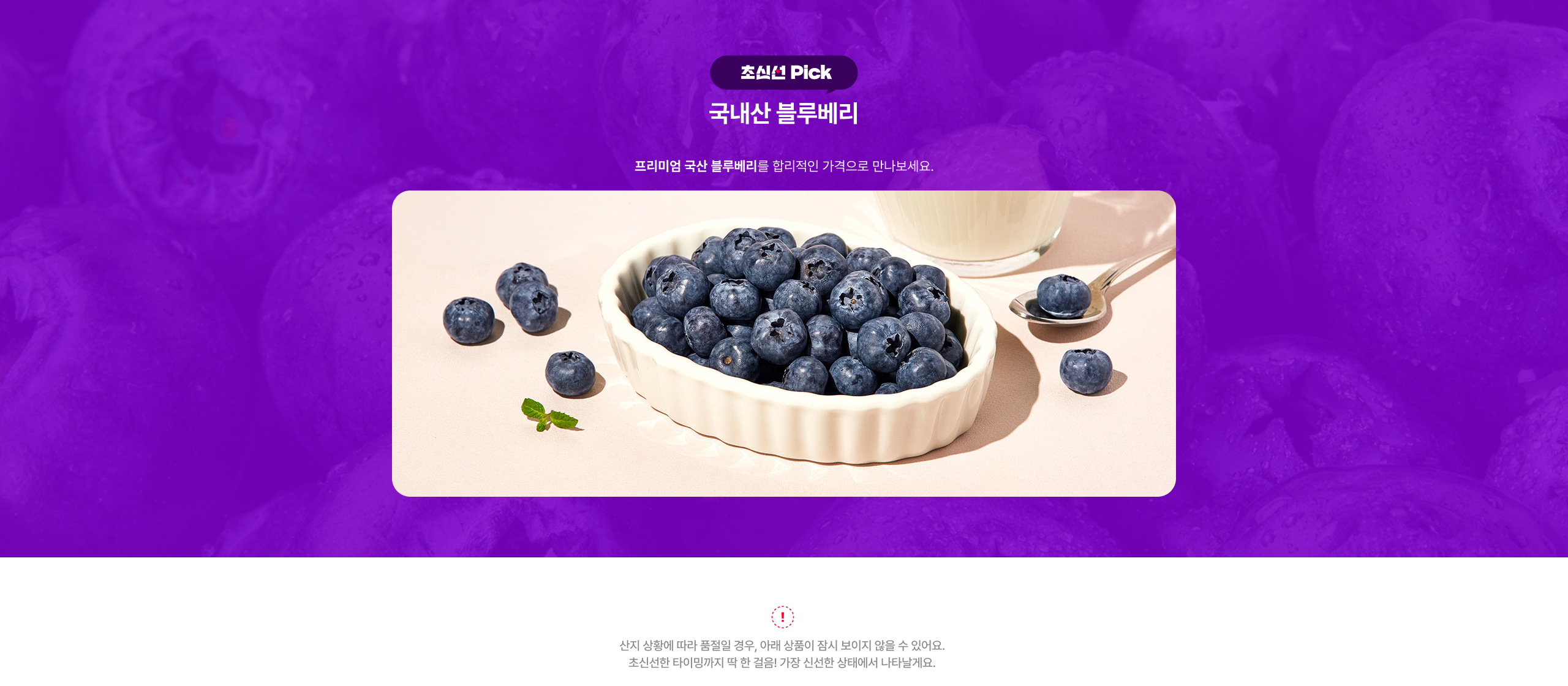 조선Pick 국내산 블루베리 프리미엄 국산 블루베리를 합리적인 가격으로 만나보세요.
