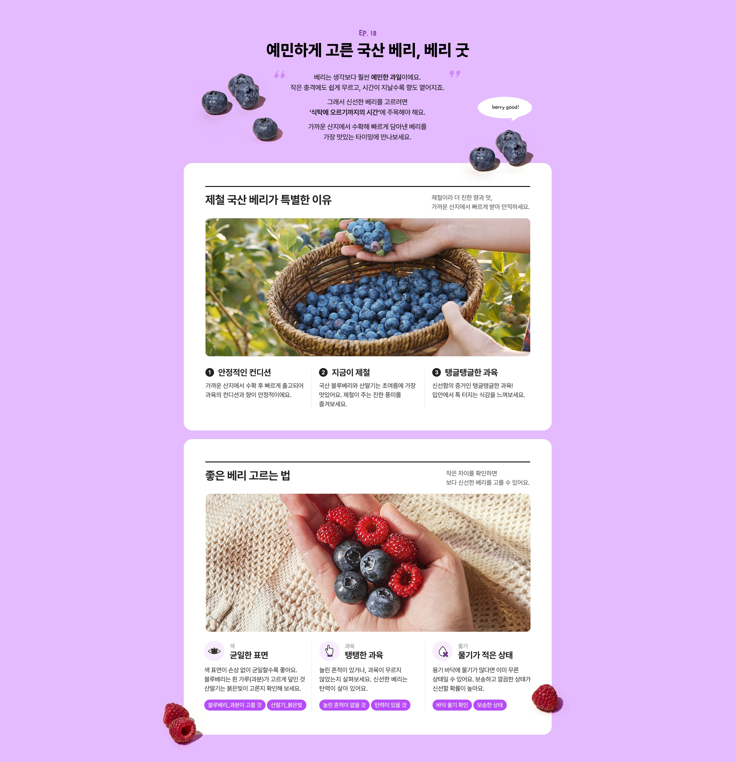 제철 국산 베리가 특별한 이유 정상적인 컨디션 지근이 재배 탱글탱글한 과육 좋은 베리 고르는 법 껍질이 얇은 경우 탱글탱글한 과육 멀기가 적은 상태