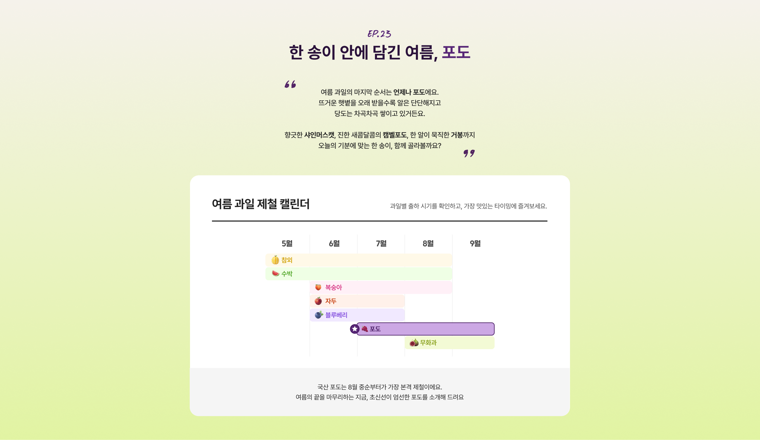 한 송이 안에 담긴 여름, 포도 여름 과일의 마지막 수순은 언제나 포도예요. 뜨거운 햇볕을 오래 받으숙 않은 단단해지고 당도는 차곡차곡 쌓이고 있거든요. 항구한 사람들에게 친한 새콤달콤의 행복포도, 한 알이 목득한 거부끼까지 오늘의 기본에 맞는 한 송이, 함께 즐겨볼까요? 여름 과일 제철 캘린더 포도 먹이과 자두 블루베리 포도 무화과