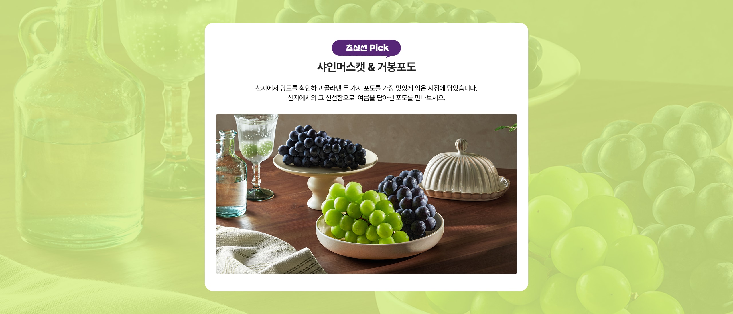초신선 Pick 샤인머스캣 & 거봉포도 산지에서 당도를 확인하고 골라낸 두 가지 포도를 가장 맛있게 익은 시점에 당왔습니다. 산지에서의 그 신선함으로 여름을 달이런 포도를 만나보세요.