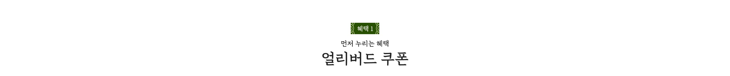 먼저 누리는 혜택 얼리버드 쿠폰