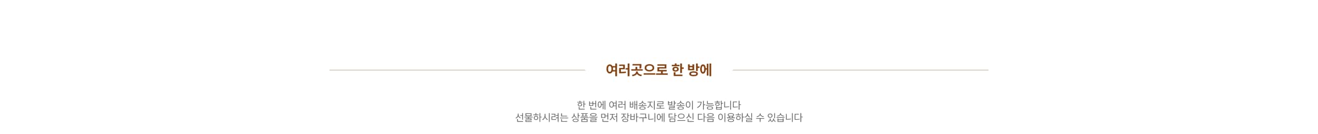 여러곳으로 한 방에 한 번에 여러 배송지로 발송이 가능합니다 선물하시려는 상품을 먼저 장바구니에 담으신 다음 이용하실 수 있습니다