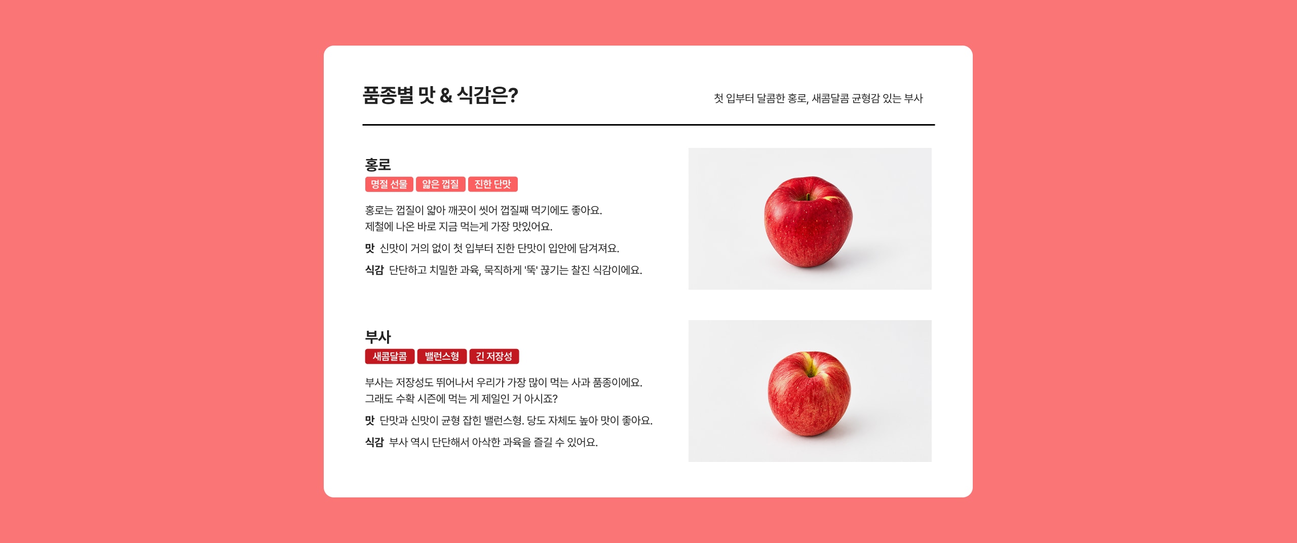 품종별 맛 & 식감은? 홍로 홍로는 엄청이 알아 깨끗이 식혀 엄철채 먹기에도 좋아요. 제철에 나온 바로 지금 먹는게 가장 맛있어요. 맛 신인이 거의 없이 적 입부터 진한 단맛이 입안에 당겨져요. 식감 단단하고 질리면 과육 묵직하게 '딱' 껍기는 찬진 식감이에요. 부사 부사는 저장성도 뛰어나서 우리가 가장 많이 먹는 사과 품종이에요. 그래도 수확 시점에 먹는 게 제일인 거 아시죠? 맛 단맛과 신맛이 균형 잡힌 밸런스랑 당도 자체도 높아 맛이 좋아요. 식감 부사 역시 단단해서 아삭한 과육을 즐길 수 있어요.