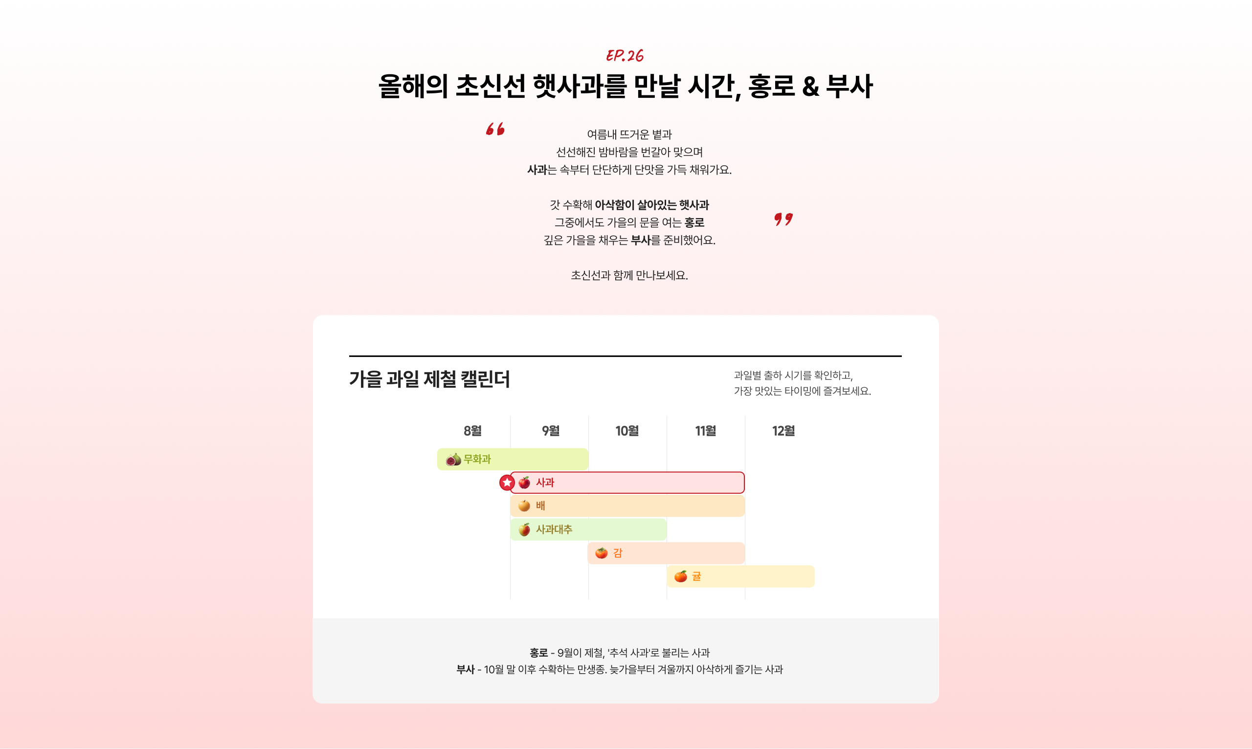 올해의 초신선 햇사과를 만날 시간, 홍로 & 부사. 여름내 뜨거운 볕과 선선해진 밤바람을 번갈아 맞으며 사과는 속부터 단단하게 단맛을 가득 채워가요. 갓 수확해 아삭함이 살아있는 햇사과 그중에서도 가을의 문을 여는 홍로. 깊은 가을을 채우는 부사를 준비했어요. 초신선과 함께 만나보세요.