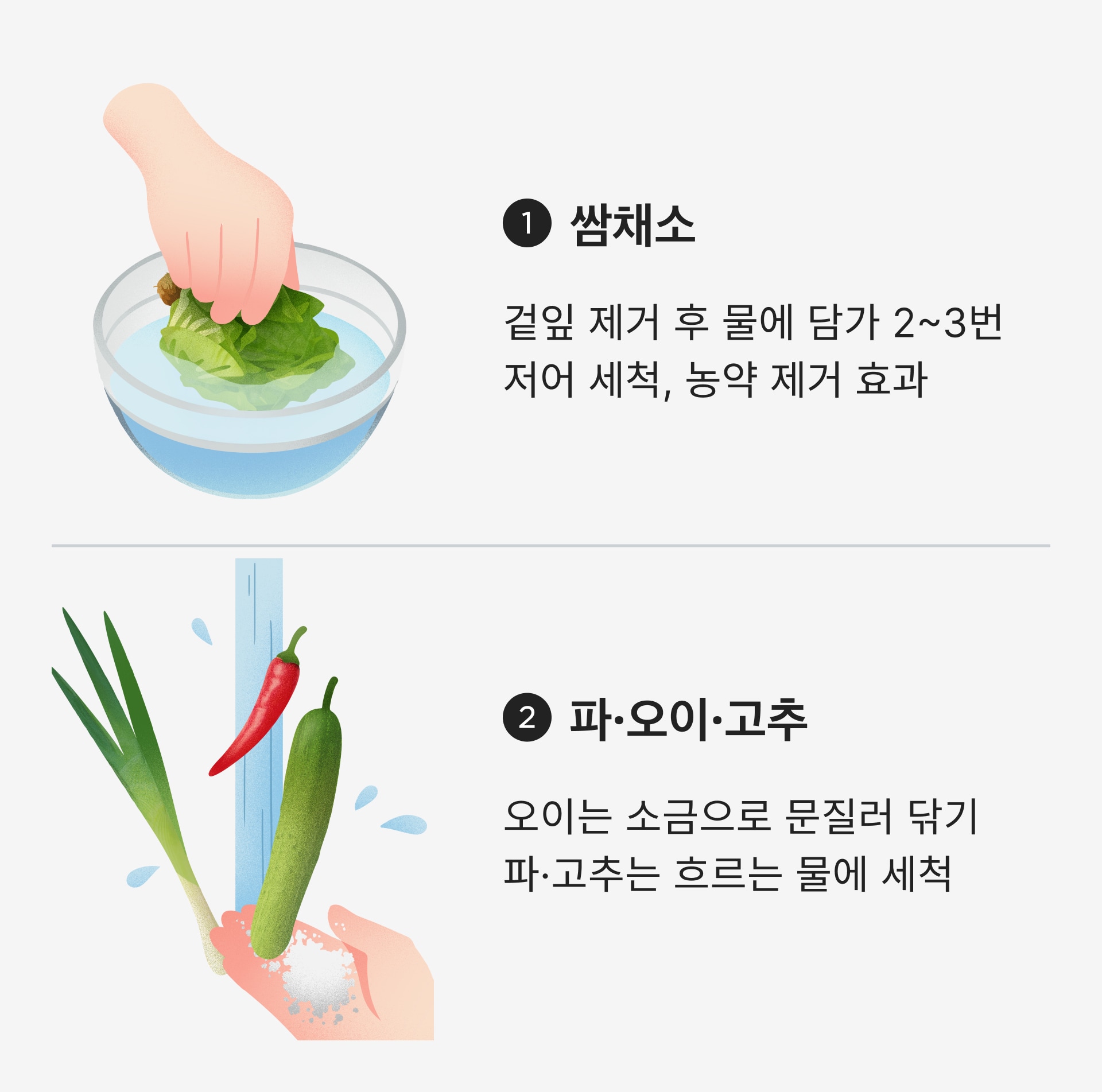 채소세척법