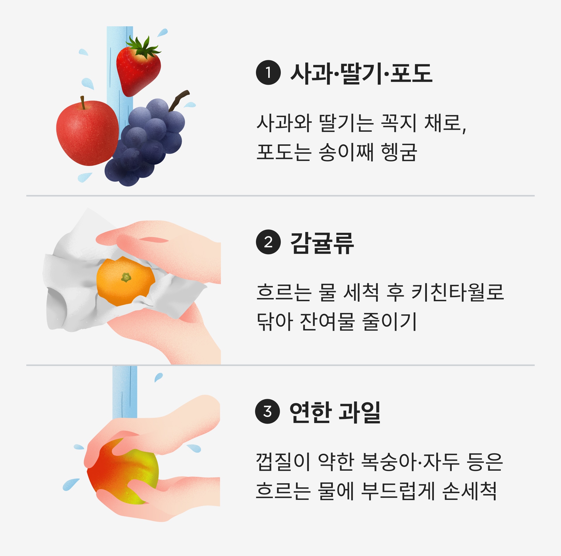 과일별 세척 방법