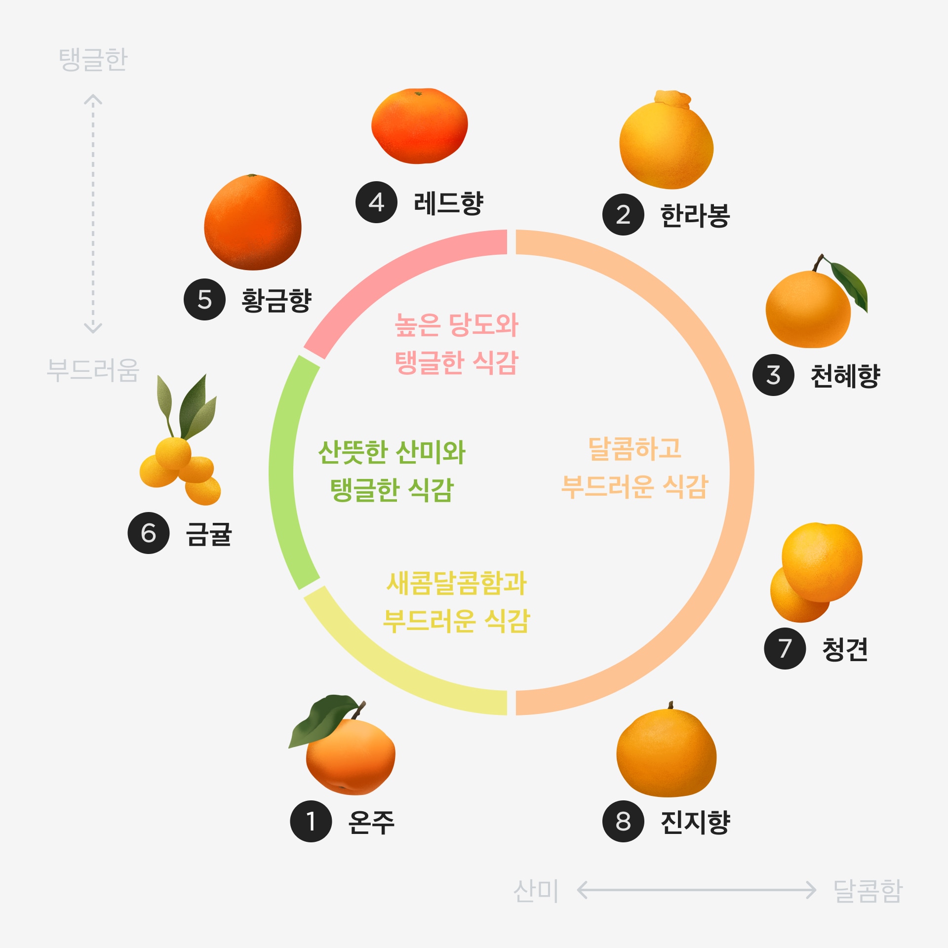 귤/만감류 선택팁