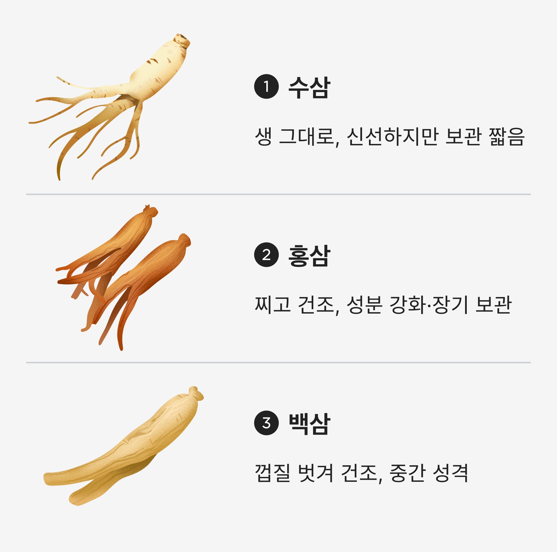 인삼