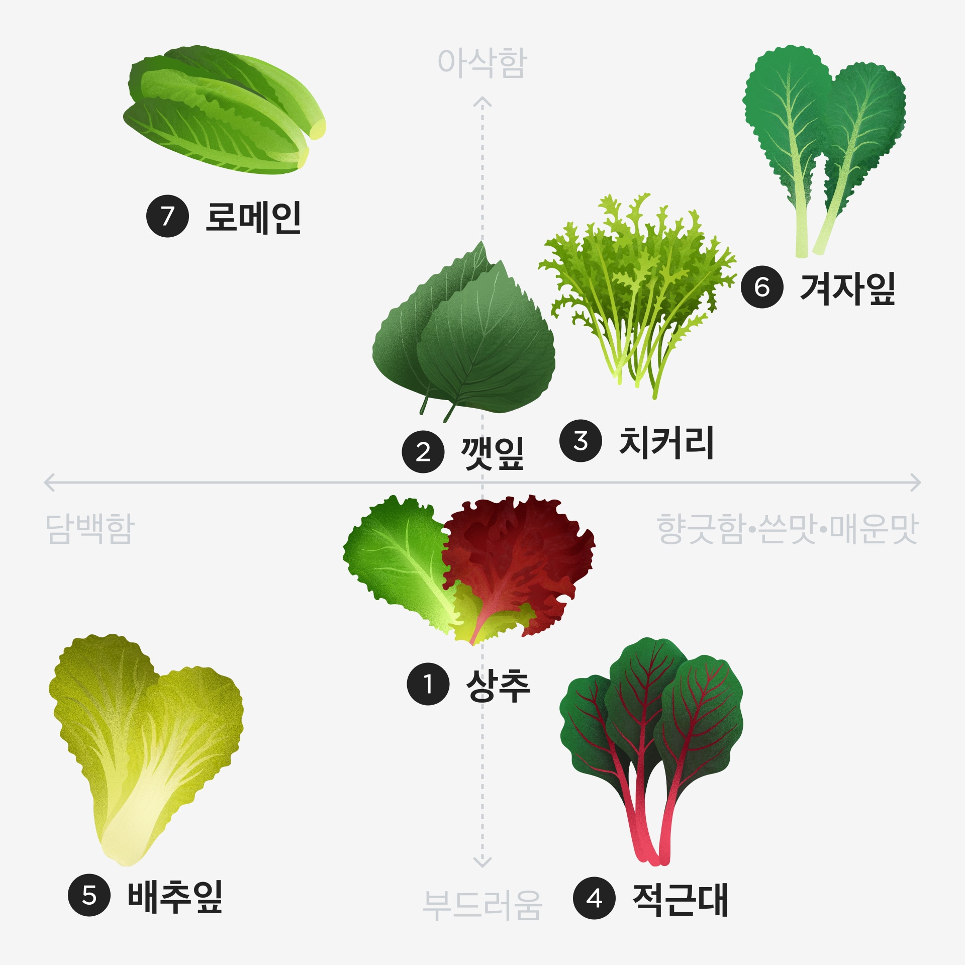 쌈채소