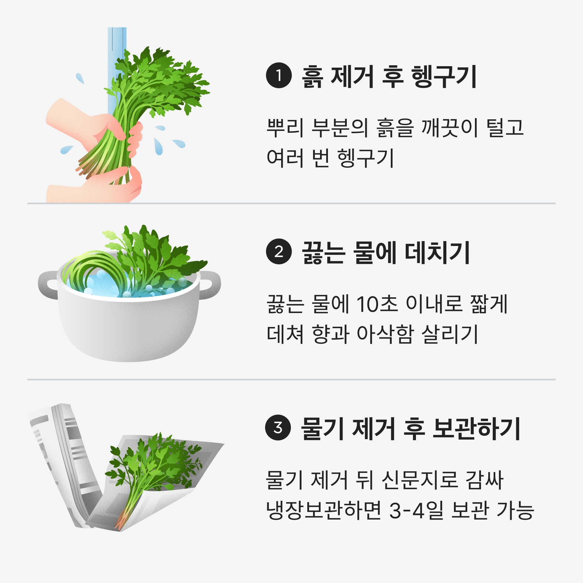 미나리