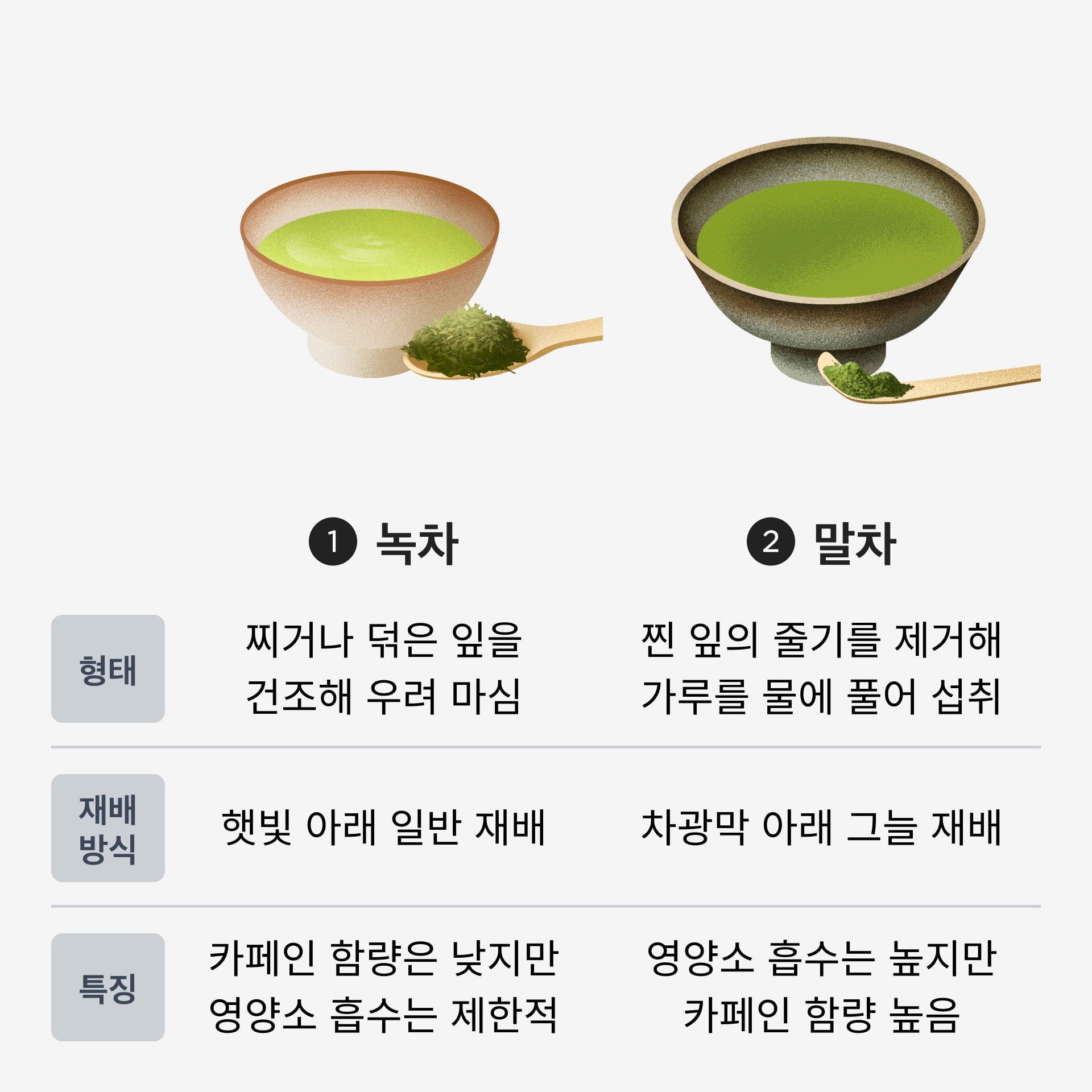 녹차 vs 말차