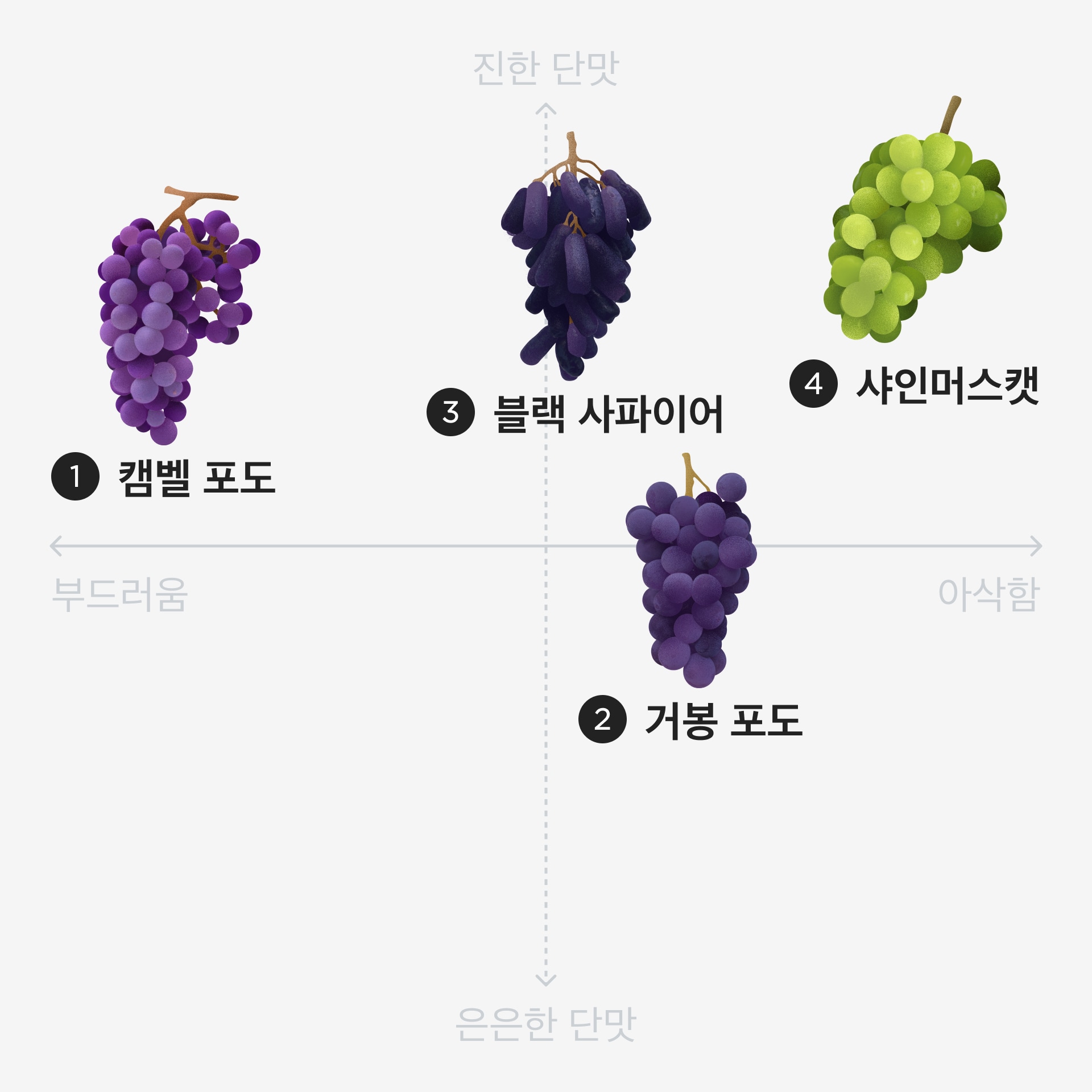 품종별 특성을 정리한 표. 하단 텍스트 설명과 동일한 내용.