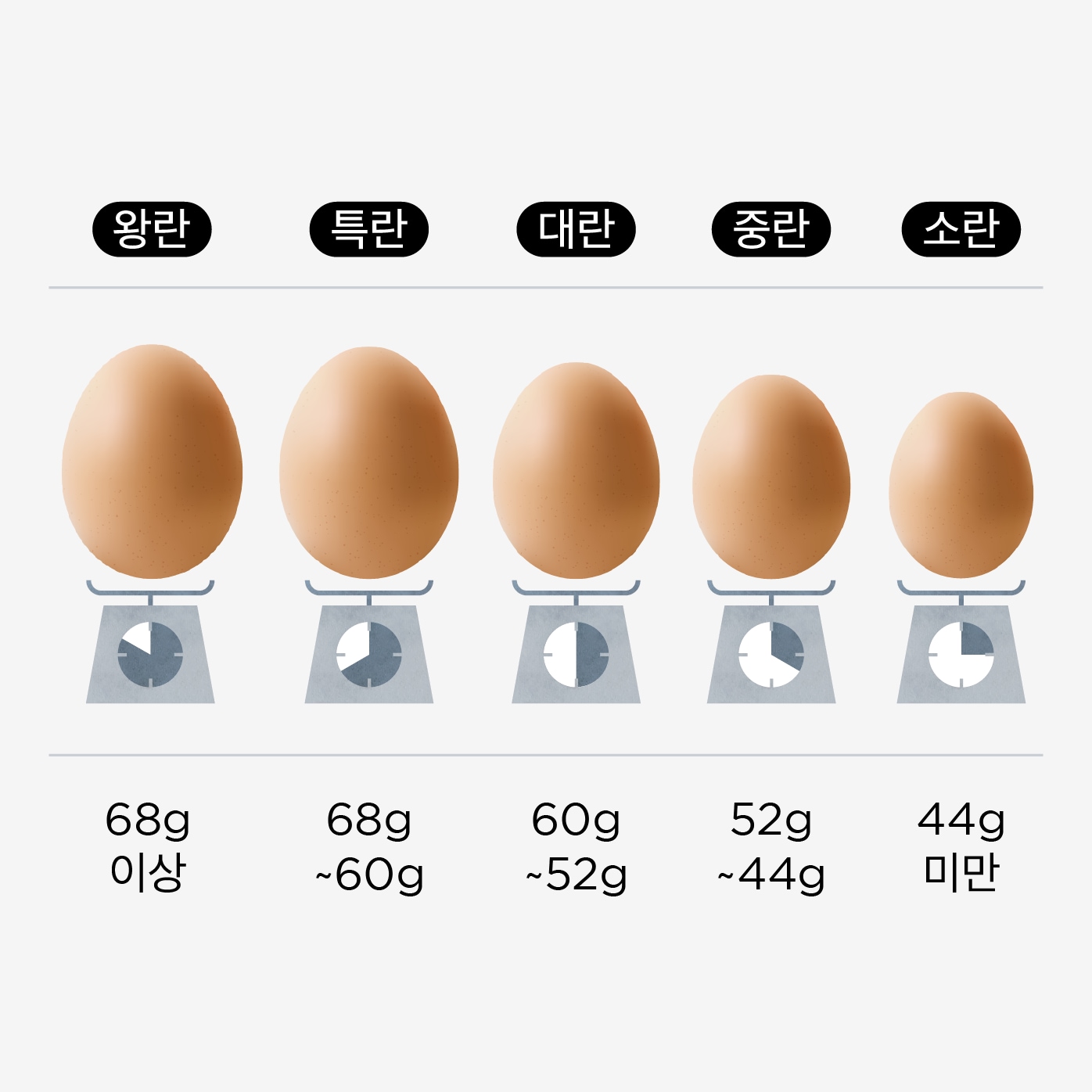 중량별 계란 등급비교 이미지